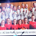 VIDEO: Ples odtajnil nejlepší sportovce Písecka za rok 2025