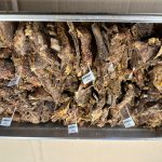 Souboji O Martinův kotouček dominoval Martin Hrych