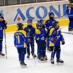 MilCup jasně ovládl Vimperk, domácí skončili čtvrtí