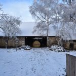 Od středověkého špýcharu po modernu Jana Kotěry. V Jihočeském kraji přibylo pět nových kulturních památek