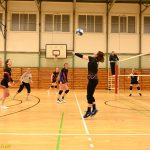 VIDEO: Hráčky SK-V 41 Tábor vybojovaly v letošní sezoně 2. místo. Na závěr ročníku se poměřily s vítězkami krajské soutěže