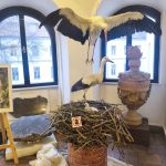 Komentovaná prohlídka v píseckém muzeu představila ptačí stavitele