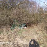 Nepořádek, výkaly, pobíhající psi. Bezdomovci kempovali v Měšicích