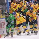 Hokej: Čtvrtfinále vrcholí. Juniorka Motoru musí po pondělku odvracet konec sezony