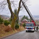Kocour ve Vimperku uvázl na stromě. Na zem mu pomohli hasiči