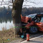 Na Jindřichohradecku se stala tragédie. Řidič zemřel po nárazu do stromu