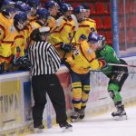 Hokej: Motor odvrátil konec. Čtvrtfinálovou sérii rozhodne až čtvrteční duel v Boleslavi