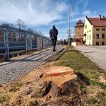 Zásah v památkové rezervaci. Památkáři se vyjádřili k úpravám budějovického nábřeží i kácení stromů