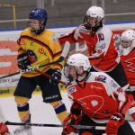 Hokej: To ale byla jízda. Trenér je po sezoně na hráče pyšný, Motor došel do semifinále