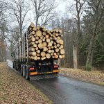 Populární třeboňská stezka se do prázdnin dočká opravy. Opozice řeší, zda je to výhodné