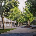 Úprava parkoviště u táborského zimního stadionu. Město si vybralo druhý nejdražší projekt a celá akce má zpoždění