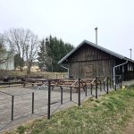 Všední den úzkokolejky. Testovali jsme jízdní řád i noc na nádraží