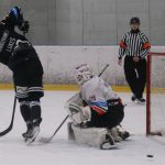 Hokej: Zklamaní Black Dogs. Poslední vstupenku do Edenu si odvezly Pardubice