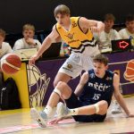 VIDEO: Sršni sestřelili Děčín a stěhují se na zimák. Tam je hned prověří Nymburk – čtvrtfinalista Ligy mistrů