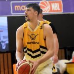 VIDEO: Sršni sestřelili Děčín a stěhují se na zimák. Tam je hned prověří Nymburk – čtvrtfinalista Ligy mistrů