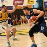 VIDEO: Sršni sestřelili Děčín a stěhují se na zimák. Tam je hned prověří Nymburk – čtvrtfinalista Ligy mistrů