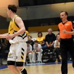 VIDEO: Sršni vstoupili do předkola play off důležitou výhrou