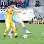 Duel Protivína s Jindřichovým Hradcem branku nenabídl