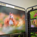 V Památníku Mladovožicka vystavují tvorbu kreativních mužů