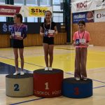 Písecký Sokol pořádal župní přebor v gymnastice a šplhu. Domácí závodníci excelovali