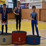 Písecký Sokol pořádal župní přebor v gymnastice a šplhu. Domácí závodníci excelovali