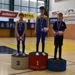 Písecký Sokol pořádal župní přebor v gymnastice a šplhu. Domácí závodníci excelovali