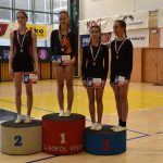 Písecký Sokol pořádal župní přebor v gymnastice a šplhu. Domácí závodníci excelovali