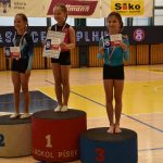 Písecký Sokol pořádal župní přebor v gymnastice a šplhu. Domácí závodníci excelovali