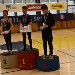 Písecký Sokol pořádal župní přebor v gymnastice a šplhu. Domácí závodníci excelovali