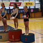 Písecký Sokol pořádal župní přebor v gymnastice a šplhu. Domácí závodníci excelovali