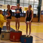 Písecký Sokol pořádal župní přebor v gymnastice a šplhu. Domácí závodníci excelovali