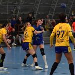 Skvělý výkon píseckých házenkářek připravil Dunajskou Stredu o neporazitelnost