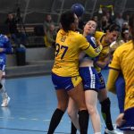 Skvělý výkon píseckých házenkářek připravil Dunajskou Stredu o neporazitelnost