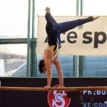 Písecká všestrannost sbírala medaile na župních sokolských přeborech