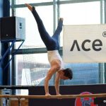 Písecká všestrannost sbírala medaile na župních sokolských přeborech