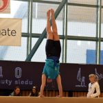 Písecká všestrannost sbírala medaile na župních sokolských přeborech