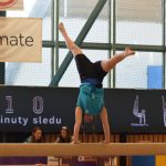 Písecká všestrannost sbírala medaile na župních sokolských přeborech