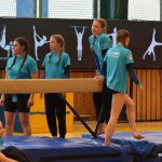 Písecká všestrannost sbírala medaile na župních sokolských přeborech