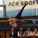 Písecká všestrannost sbírala medaile na župních sokolských přeborech