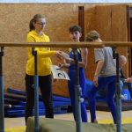 Písecká všestrannost sbírala medaile na župních sokolských přeborech