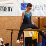 Písecká všestrannost sbírala medaile na župních sokolských přeborech