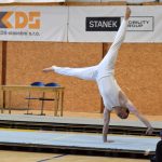 Písecká všestrannost sbírala medaile na župních sokolských přeborech