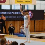 Písecká všestrannost sbírala medaile na župních sokolských přeborech