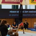 Písecká všestrannost sbírala medaile na župních sokolských přeborech