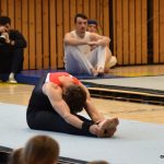 Písecká všestrannost sbírala medaile na župních sokolských přeborech