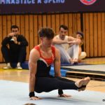 Písecká všestrannost sbírala medaile na župních sokolských přeborech