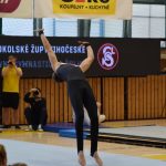 Písecká všestrannost sbírala medaile na župních sokolských přeborech