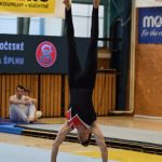 Písecká všestrannost sbírala medaile na župních sokolských přeborech