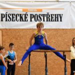 Písecká všestrannost sbírala medaile na župních sokolských přeborech
