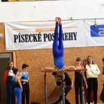 Písecká všestrannost sbírala medaile na župních sokolských přeborech